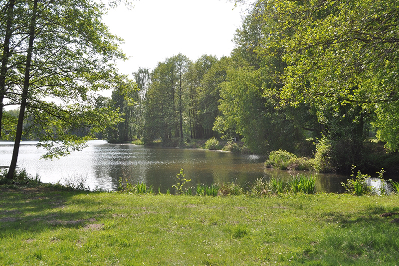 Camping am Tannenbruchsee